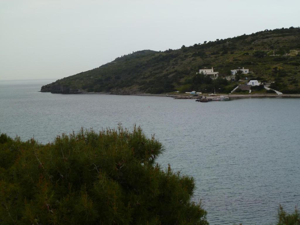 Liberty II Hotel Agia Marina  Eksteriør billede